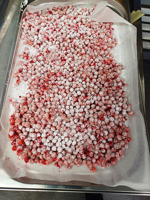 pakastekuivattuja marjoja pellillä