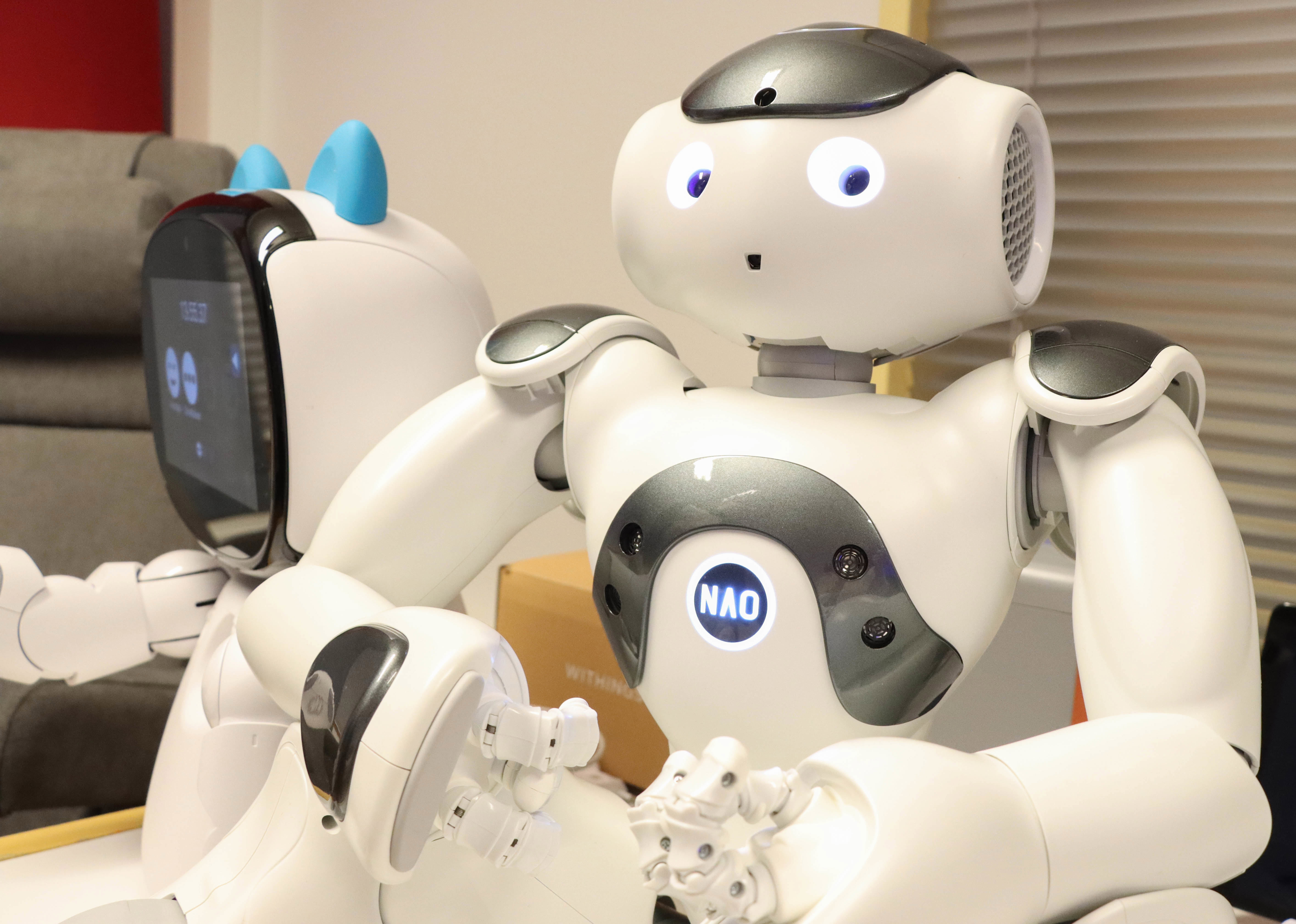 Palvelu- ja hyvinvointirobotit Emma ja Nao.