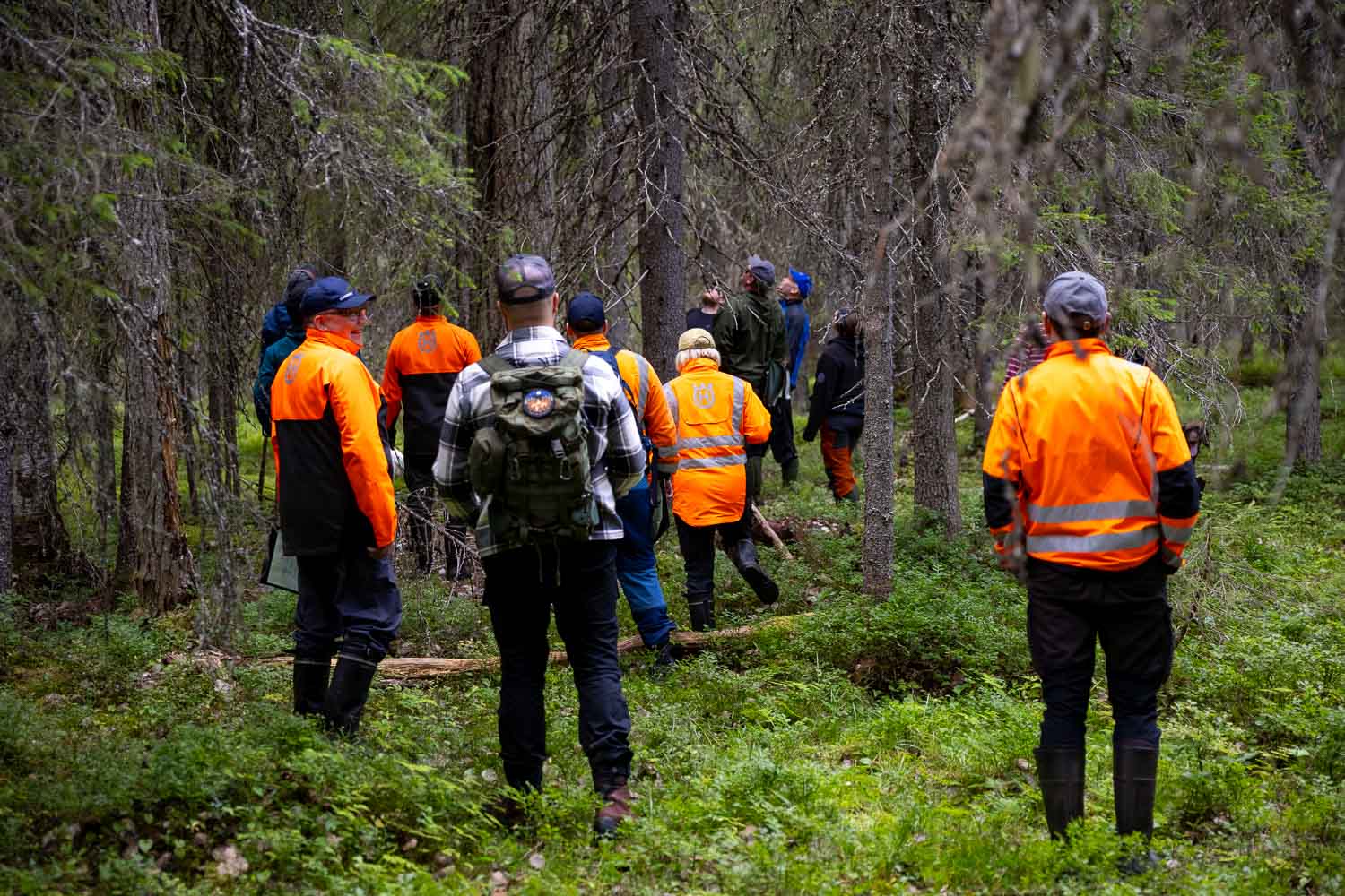 Joukko opiskelijoita kävelee metsässä puiden keskellä ulkovaatetus päällä.