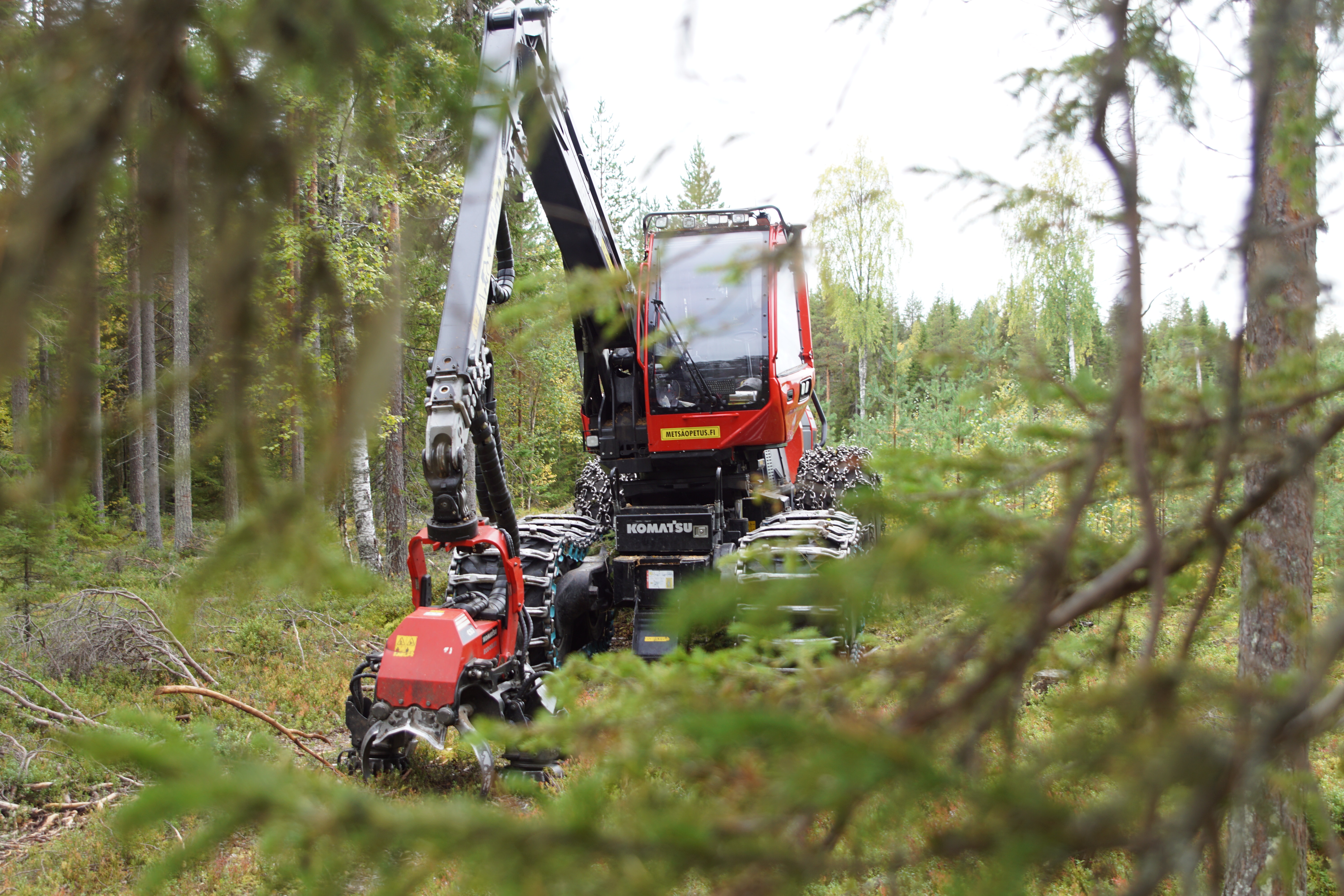 Metsäkone metsätyömaalla.